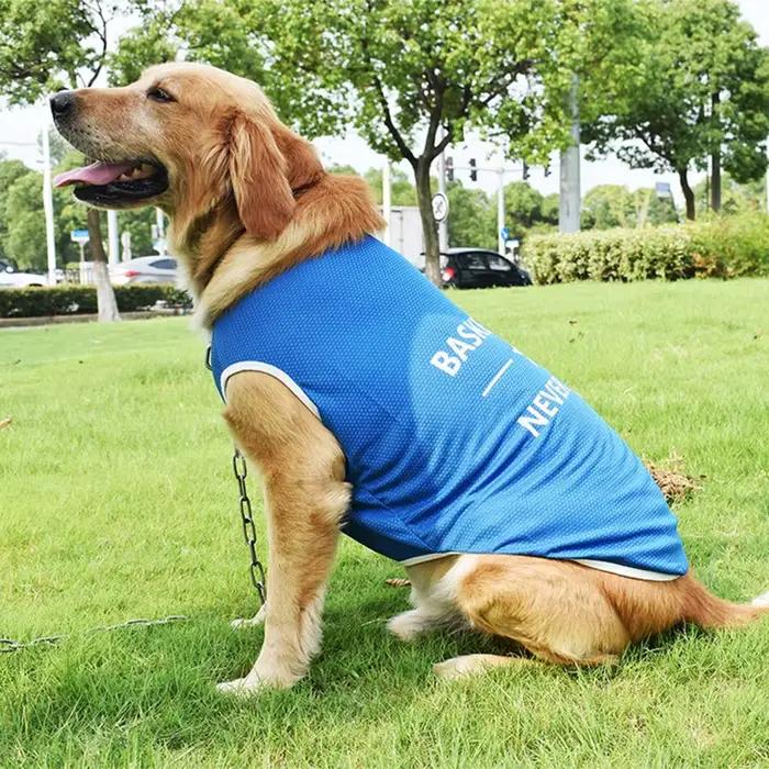 S-6XL vêtements pour chiens chiot Costume pour animaux de compagnie vêtements pour chiens pour petit