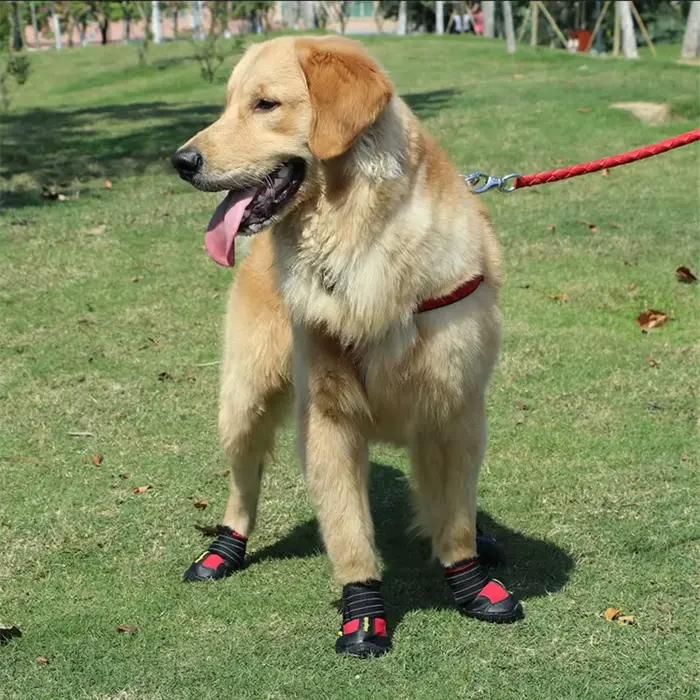 Chaussures imperméables pour chiens de taille moyenne et grande, bottes pour chiens de neige, résist