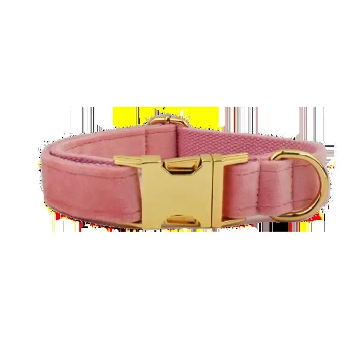 Collier en velours pour chien, gravure gratuite, laisse incluse, pour animaux de compagnie de taille