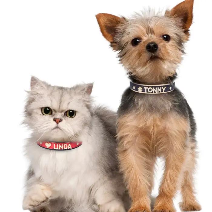 Collier personnalisé pour petits chiens Chihuahua, strass scintillants, breloques personnalisées pou