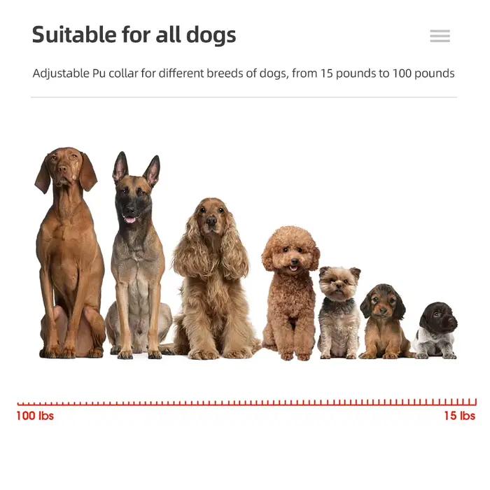 Collier d'Entraînement pour Chien, Étanche, Rechargeable, 1000m, Télécommande, Choc Électrique avec 