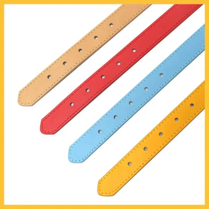 (Lettre de strass scintillante gratuite) collier de chien de chat de compagnie personnalisé colliers
