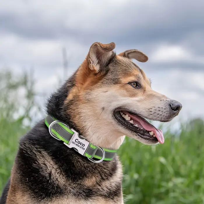 Collier de chien personnalisé réfléchissant doux colliers d'identification personnalisés collier de 