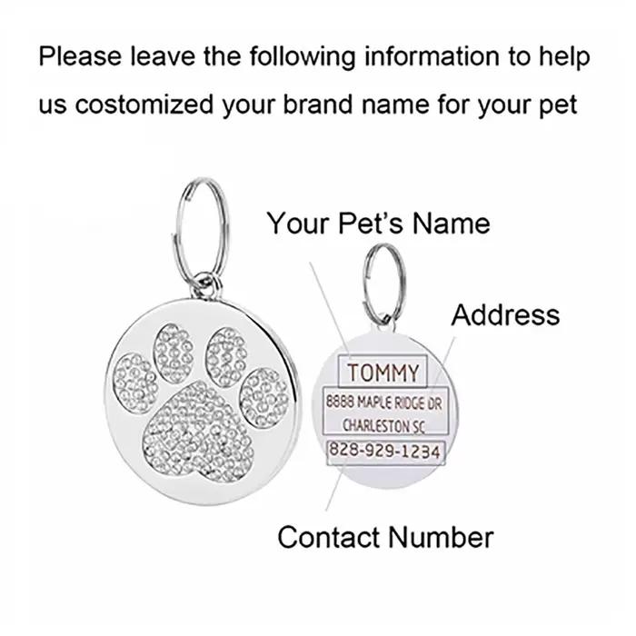 Collier pendentif avec nom d'animal de compagnie gravé en acier inoxydable, étiquettes d'identificat