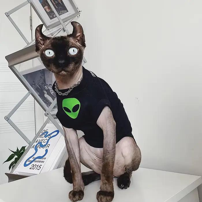 Vêtements Alien Sphynx pour animaux de compagnie, vêtements pour chat sans poils, t-shirt en coton G