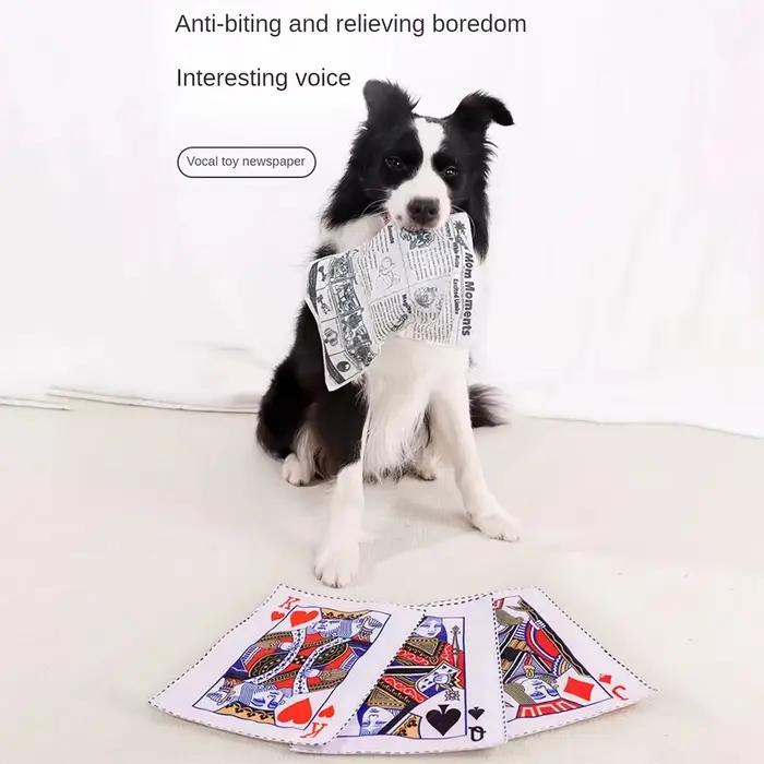 Jouet sonore anti-déchirure pour chien, 1 pièce, simulation de journal couinant, carte de jeu K Q J,