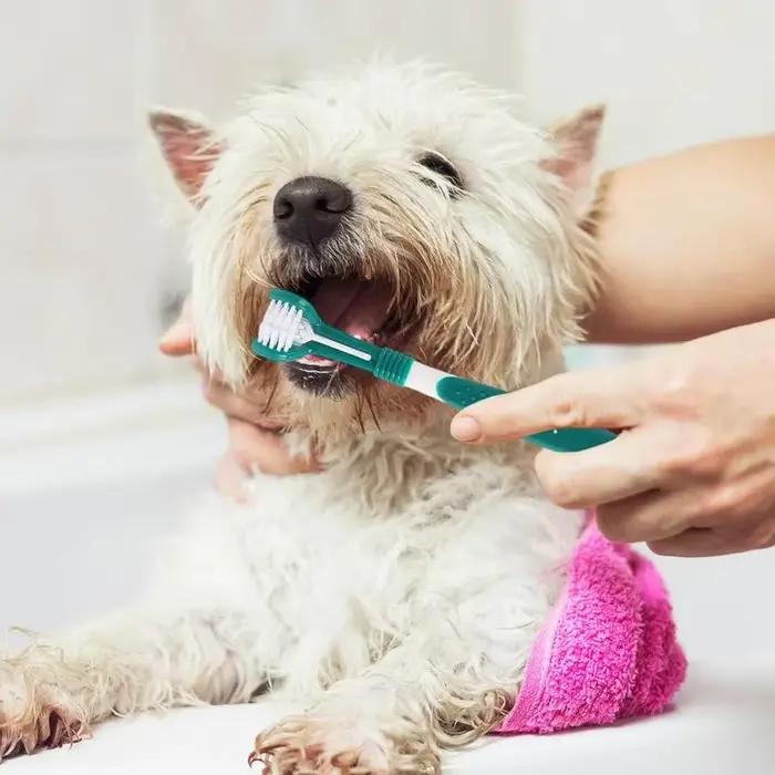 Brosse à dents en plastique pour animaux de compagnie, 3 faces, pour chien, élimine la mauvaise hale