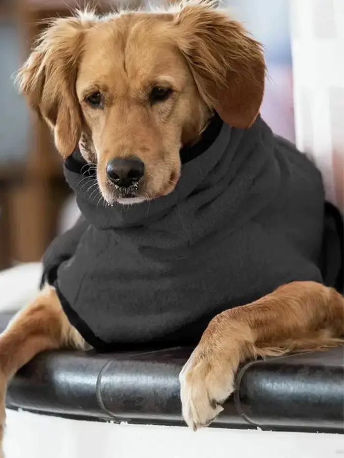 Manteau d'hiver générique pour chien pour Whippet, pull polaire confortable Greyhound, veste Lurcher