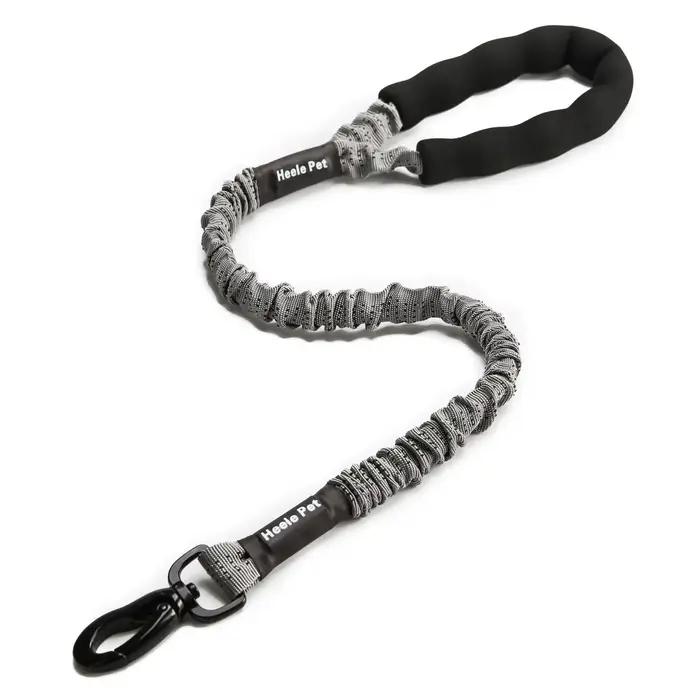 Laisse flexible pour chien, anti-baume, résistante à la pression VPN, ULélastique de planche, grand 