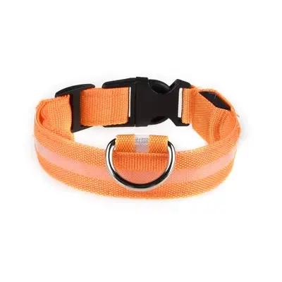 Collier pour chien lumière LED électronique sécurité nocturne Anti-perte Nylon réglable lumineux col