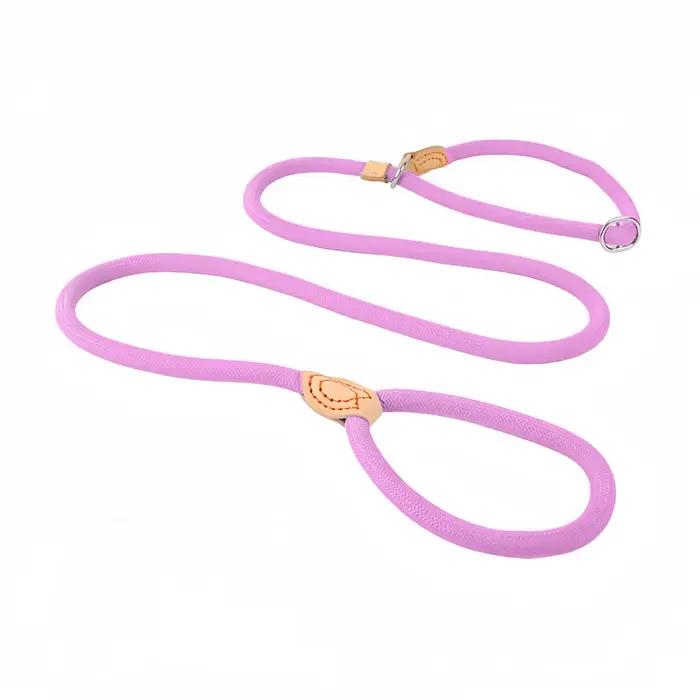 Laisse pour chien de 1.5M/1.8M, corde antidérapante, corde tressée robuste, collier à boucle réglabl