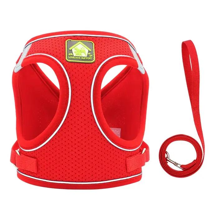 Collier de Marche SFP pour Chien et Chat, Maille Réglable, Accessoire Adapté aux Animaux de Petite e