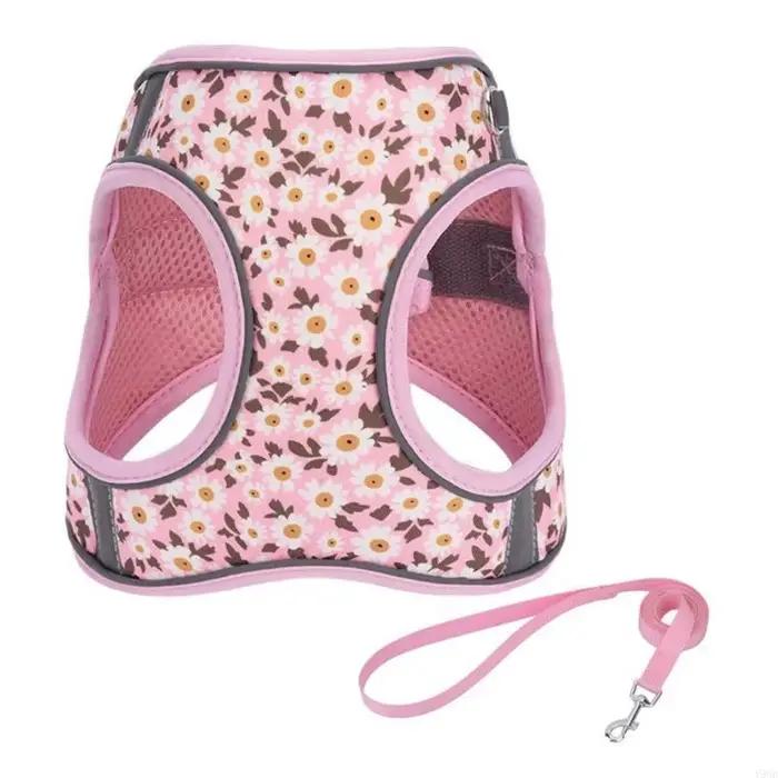 Harnais d'entraînement pour petit chien, gilet taille sans traction, avec laisse, idéal pour les chi
