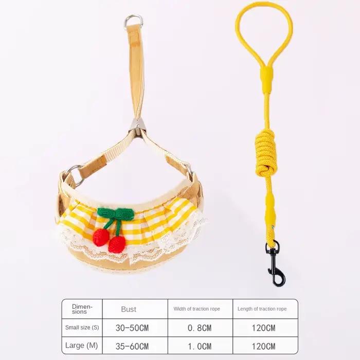 Laisse SFP mignonne pour petit chien et chat, fournitures pour animaux de compagnie, Teddy
