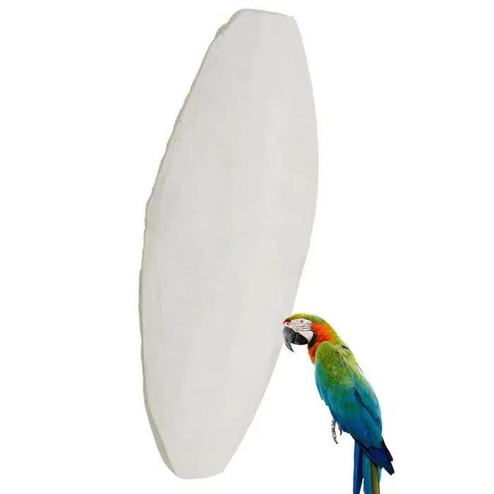 Nouveau 10 pièces/ensemble oiseaux pomme de choc perroquet chewing seiche os pour becs pointus seich