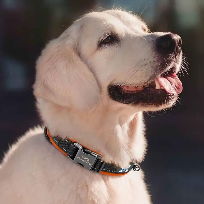 Collier de chien personnalisé réfléchissant, graver ID, colliers en Nylon, doux et rembourré, réglab