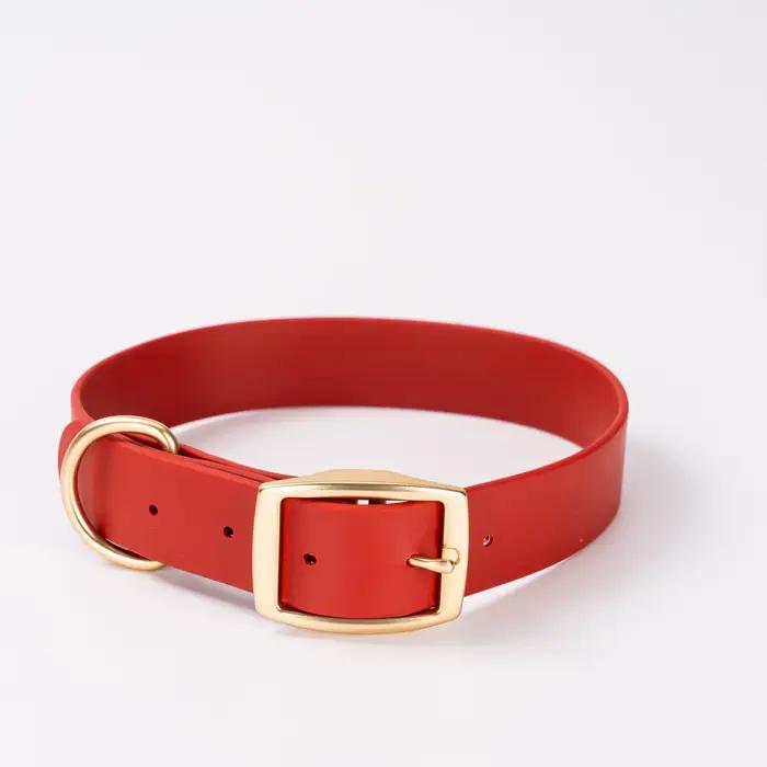 Ensemble collier et laisse pour animaux de compagnie en PVC imperméable, multicolores, faciles à net