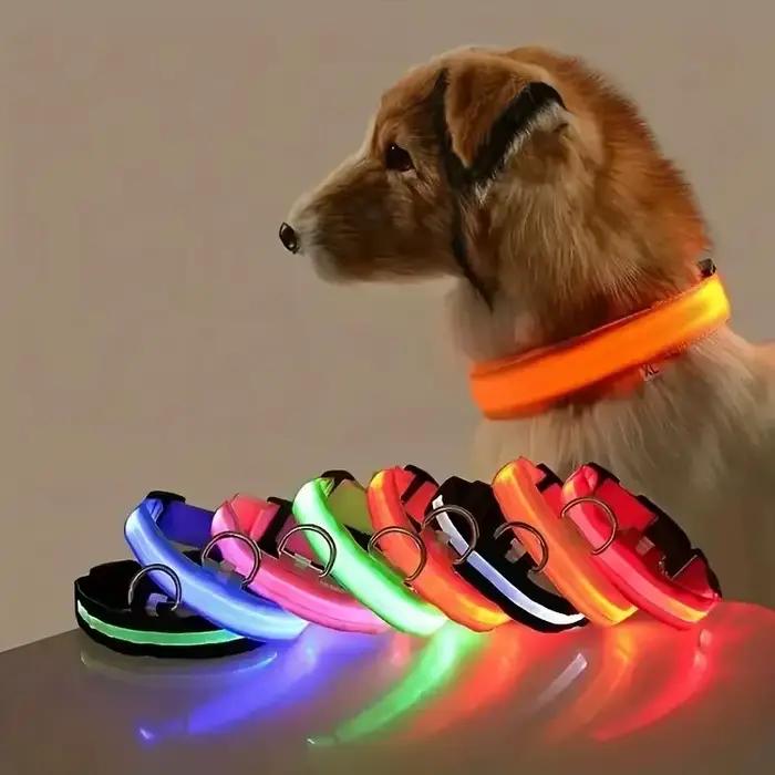 Nylon LED nuit sécurité clignotant lueur dans la nuit laisse pour chien chiens lumineux Fluorescent 