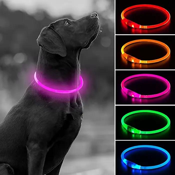 Collier de chien Led Usb collier de Charge lumineux de nuit pour chien de compagnie Led sécurité noc