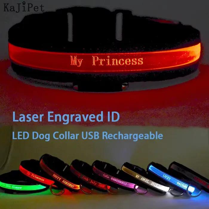 ID gravé LED collier de chien lumineux USB étiquette de chien personnalisée collier de chien de comp