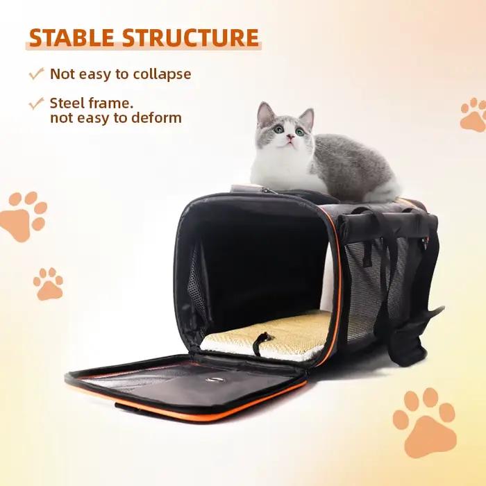 Sac de transport Portable pour chiens et chats, approuvé par la compagnie aérienne, sac de voyage po