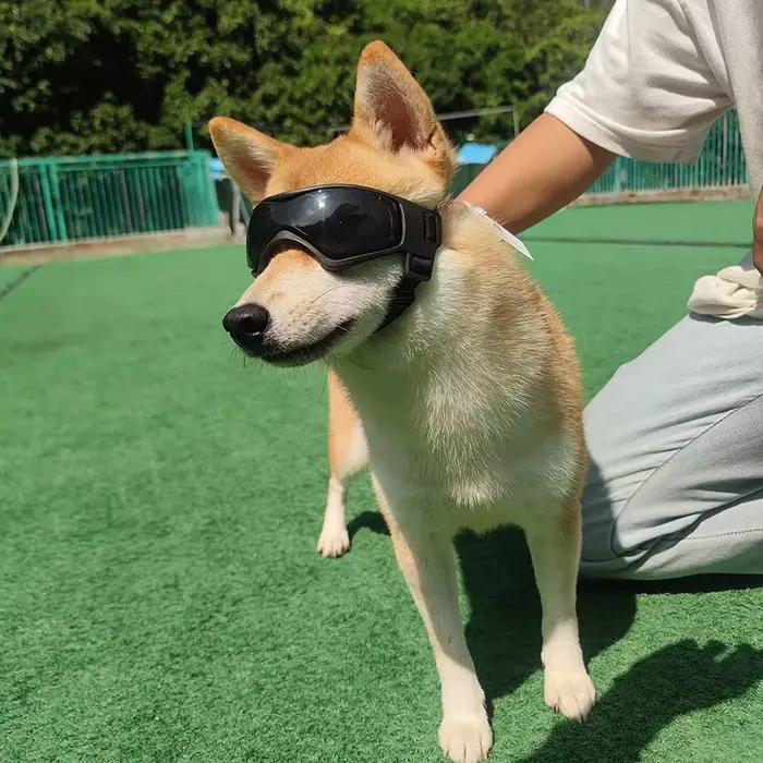 Accessoires pour animaux de compagnie chien Protection UV extérieure lunettes de soleil chat chien l