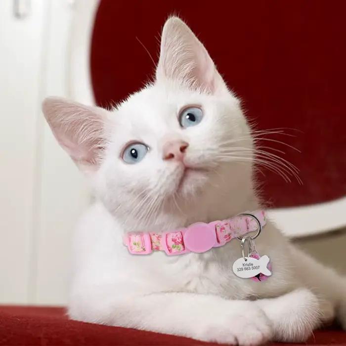 Collier en Nylon réglable pour chat gravé, étiquette d'identification personnalisée mignonne pour ch