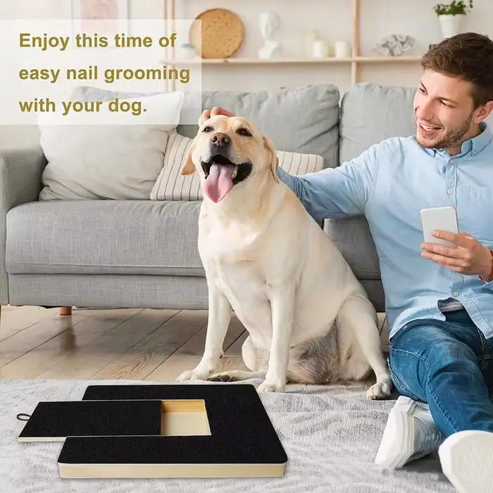 Lime à Ongles Carrée pour Chien, Grattoir en Bois, Papier de Verre