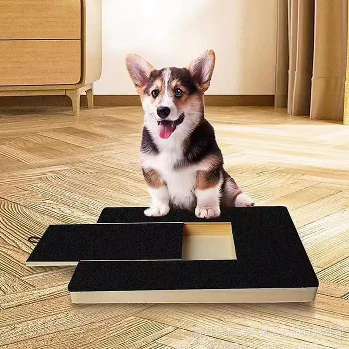 Lime à Ongles Carrée pour Chien, Grattoir en Bois, Papier de Verre