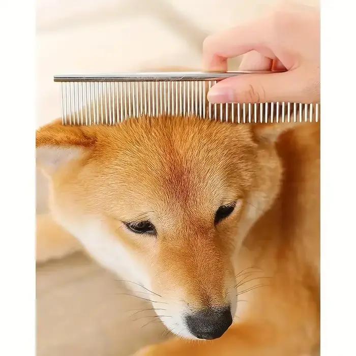 Ciseaux de toilettage professionnels sûrs et précis pour animaux de compagnie avec tête ronde - Cise
