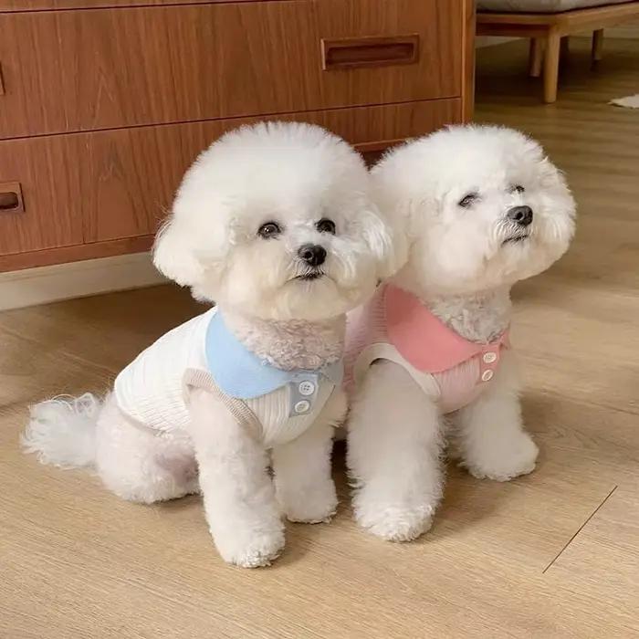 Vêtements d'été pour chiots, Polo pour petits chiens, chat, chien, gilet rafraîchissant, Chihuahua, 