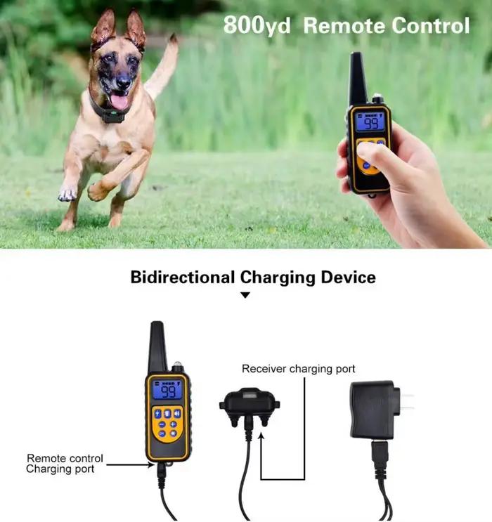 Collier Électrique Anti-Aboiement pour Chien, Étanche, avec Télécommande, Rechargeable, Dispositif d