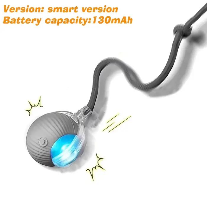 Nouveau jouet interactif de balle de chien, boule de chien roulante automatique Rechargeable, jouet 