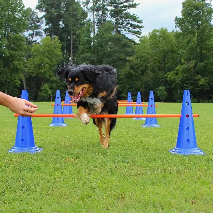 Ensemble d'entraînement d'agilité pour animaux de compagnie, barre de saut, équipement d'entraînemen