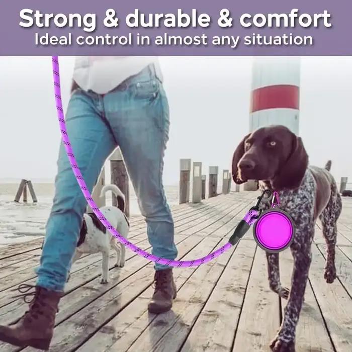 Laisse solide pour chien, laisse réfléchissante pour animaux de compagnie, pour grands, petits et mo