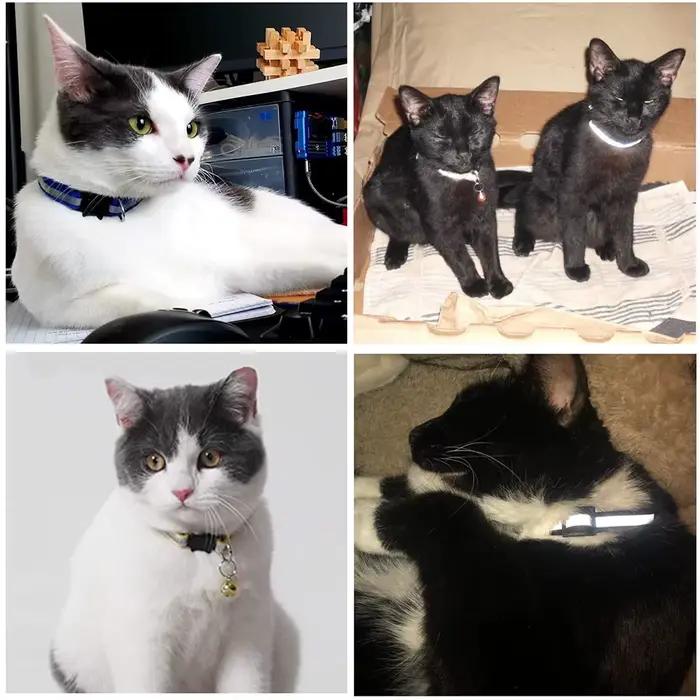 Collier de clochette en nylon moulé pour animal de compagnie, étiquette de chat, collier de petit et