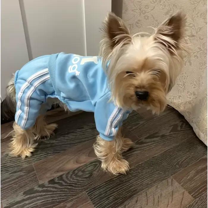 Survêtement pour chiens printemps automne vêtements pour chiens Sport sweat combinaison pour petits 