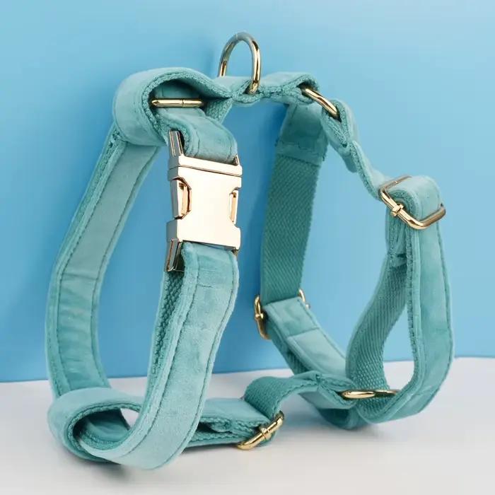 Ensemble collier et laisse pour chien en velours avec pierre turquoise, plaque nominative gravée sur