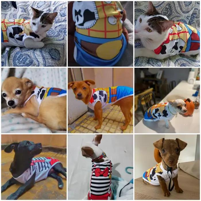 Gilet pour chien Yorkie à séchage rapide, débardeur pour chien, sweat à capuche de dessin animé, Chi