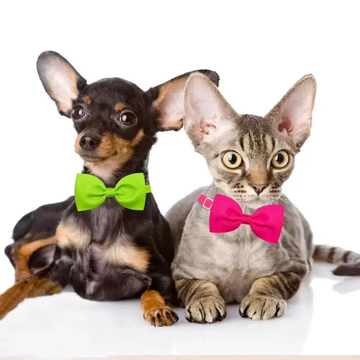 10 pièces collier de nœuds papillon pour chien en vrac coloré toilettage solide réglable chiot chat 