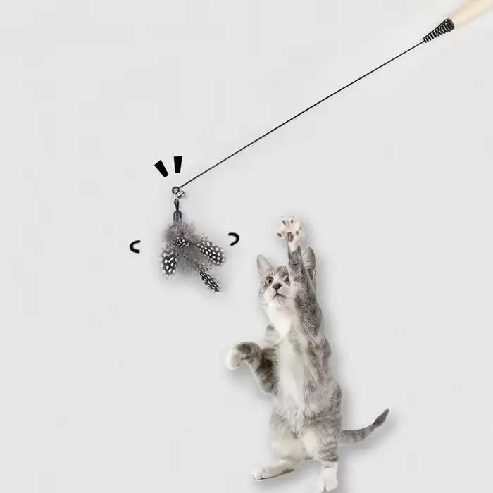 Bâton de chat à ressort avec manche en bois, tête de remplacement de plumes de perles, jouets pour c
