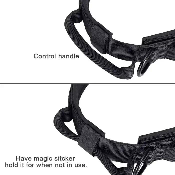 Ensemble de collier de chien durable réglable, laisse pour animal de compagnie militaire, moyen et g