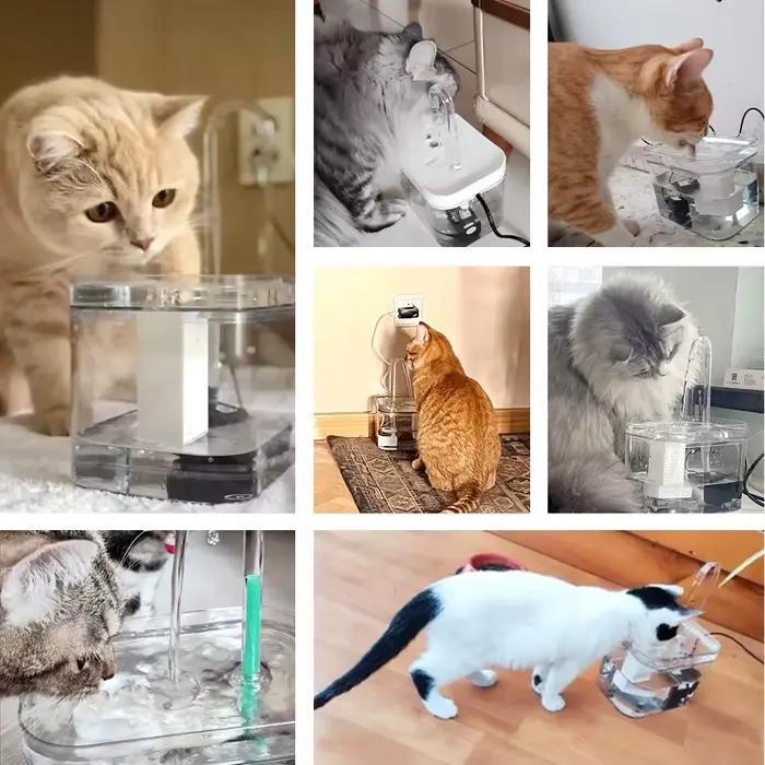 Fontaine d'eau pour chat, filtre automatique, abreuvoir Transparent pour chat, USB, électrique, sile