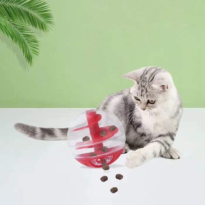 Boule en spirale pour fuite de chat, jouets éducatifs, entraînement aux morsures résistantes, jeu à 