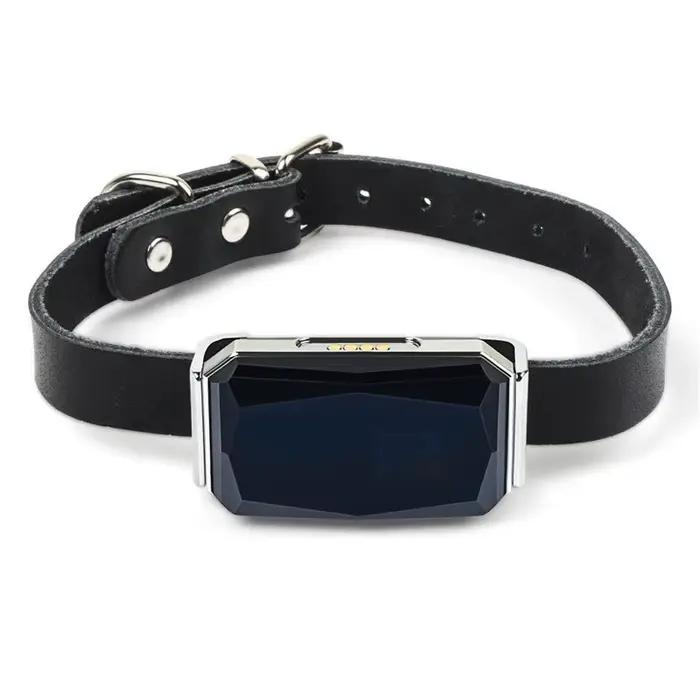 Collier étanche pour animaux de compagnie, Mini traceur GPS léger Wifi pour animaux de compagnie, ch