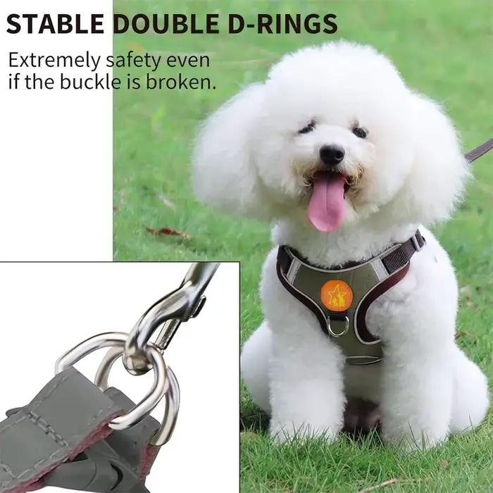 Collier réglable en plomb SFP pour animaux de compagnie, coulage respirant, laisse de marche pour ch