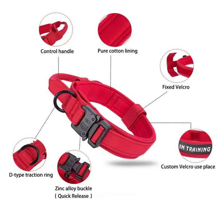 Ensemble de laisse de collier de chien de compagnie matériel en Nylon collier de chien Durable laiss