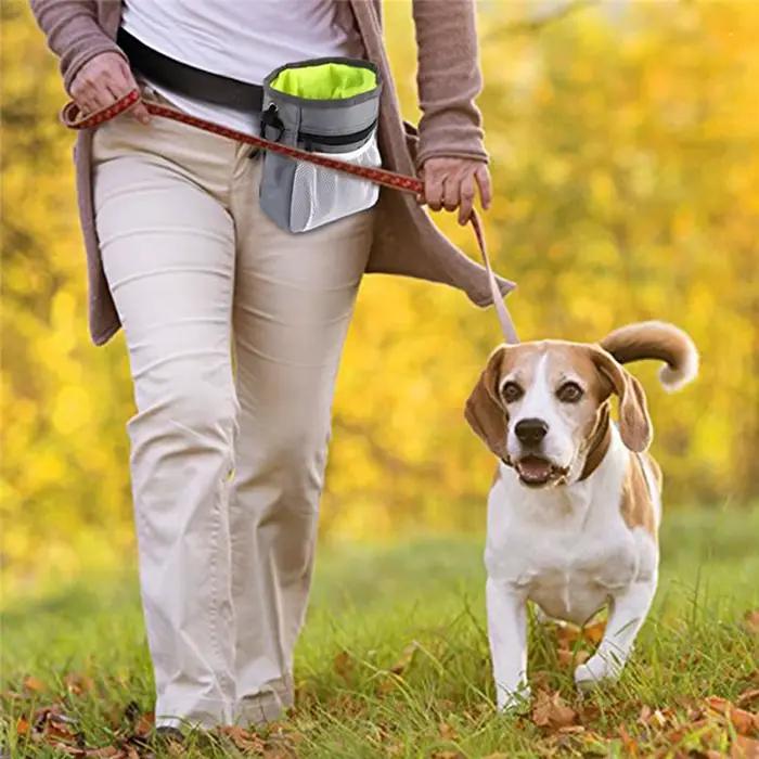 Animal de compagnie chien chiot formation traiter Snack alimentation pour animaux de compagnie poche