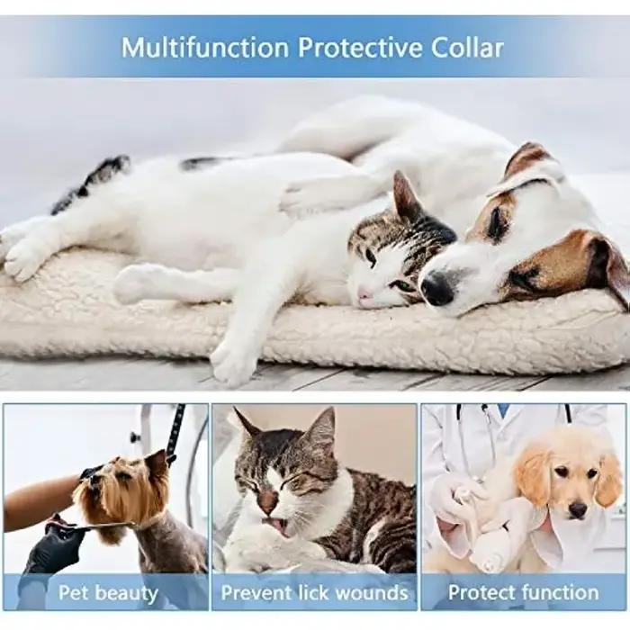 Cônes de protection gonflables pour chien après la propor, collier de récupération pour animaux de c