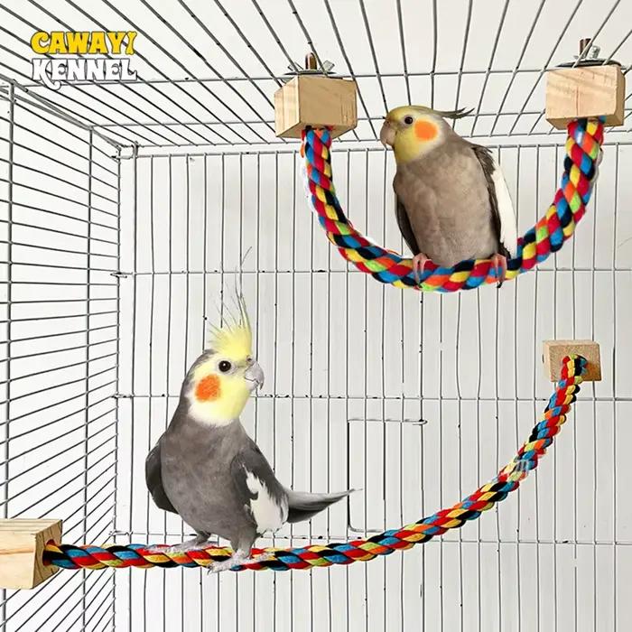 Jouets de morsure d'oiseau pour animaux de compagnie, corde en coton couleur perroquet, jouets d'esc